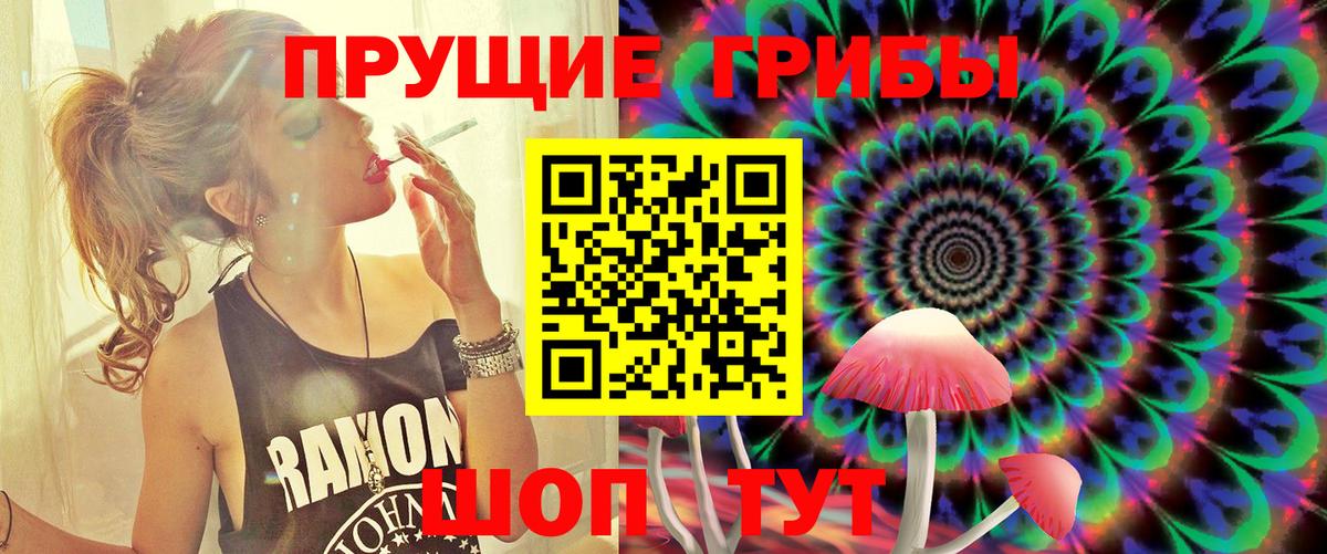 Псилоцибиновые грибы ЛСД  Псилоцибиновые грибы мицелий  Вход с VPN  Елец 