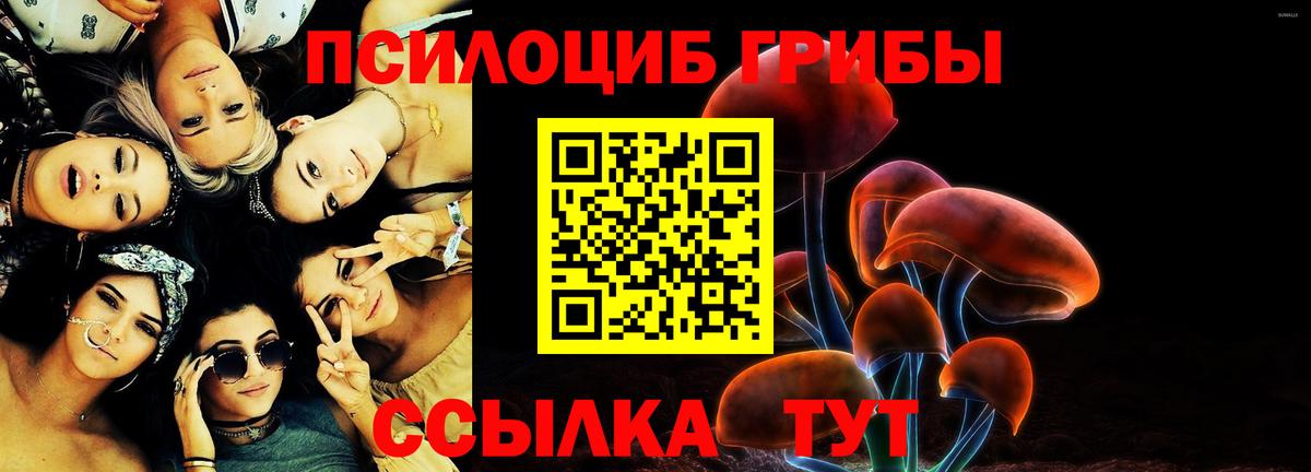 Галлюциногенные грибы ЛСД Елец